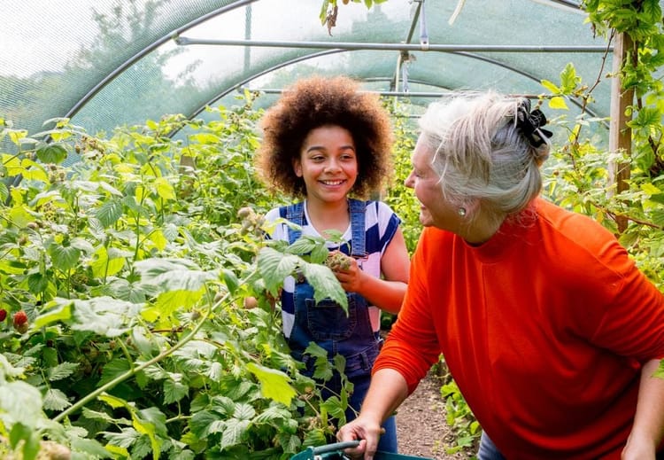 Can Multigenerational Housing Save America?